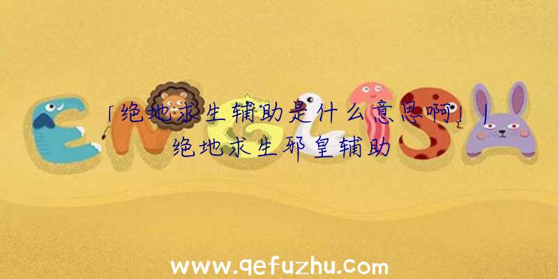 「绝地求生辅助是什么意思啊」|绝地求生邪皇辅助